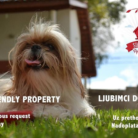 Apartments Suncani Ζάγκρεμπ Εξωτερικό φωτογραφία