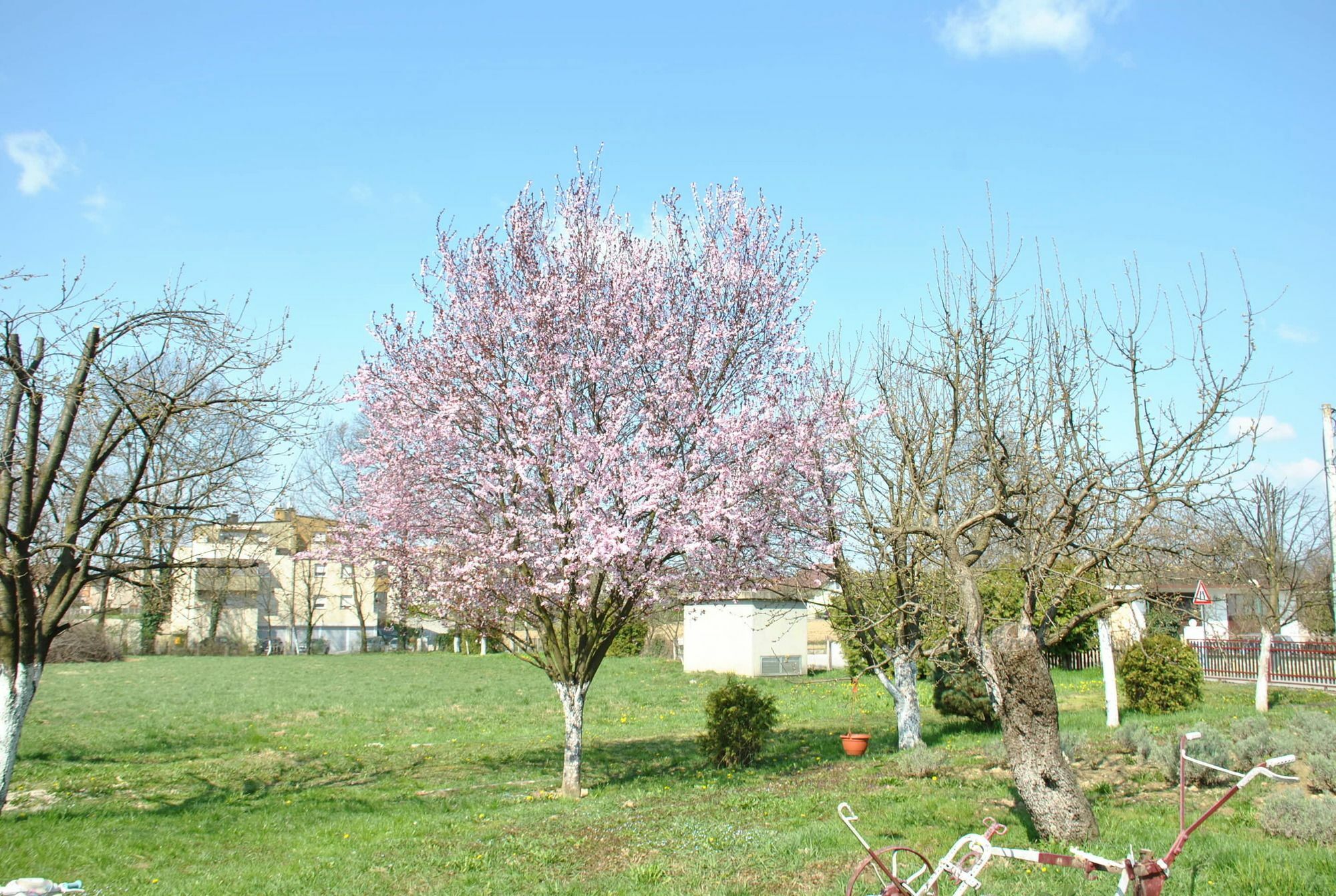 Apartments Suncani Ζάγκρεμπ Εξωτερικό φωτογραφία
